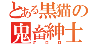 とある黒猫の鬼畜紳士（クロロ）