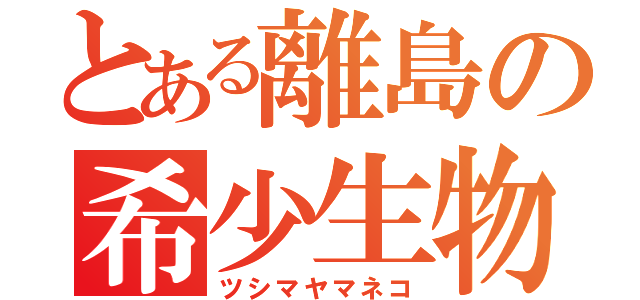 とある離島の希少生物（ツシマヤマネコ）