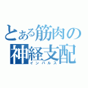 とある筋肉の神経支配（インパルス）