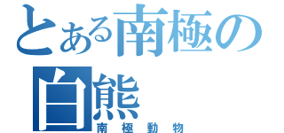 とある南極の白熊（南極動物）