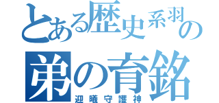 とある歴史系羽の弟の育銘（迎曦守護神）