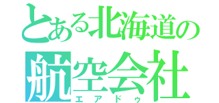 とある北海道の航空会社（エアドゥ）