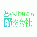 とある北海道の航空会社（エアドゥ）