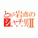 とある岩鳶のシャチ男子Ⅱ（橘真琴）