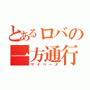 とあるロバの一方通行（マイペース）