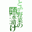 とある野菜の塩水漬け（あさづけ）