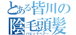 とある皆川の陰毛頭髪（パビックヘアー）