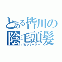 とある皆川の陰毛頭髪（パビックヘアー）