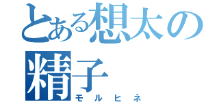 とある想太の精子（モルヒネ）