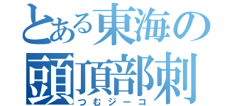 とある東海の頭頂部刺激（つむジーコ）