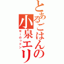 とあるごはんの小泉エリ（せーのっドン）