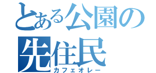 とある公園の先住民（カフェオレー）