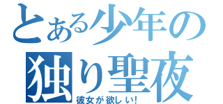 とある少年の独り聖夜（彼女が欲しい！）