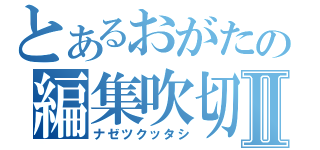 とあるおがたの編集吹切Ⅱ（ナゼツクッタシ）