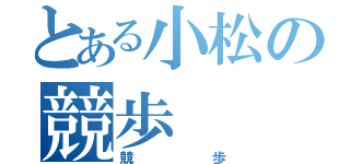 とある小松の競歩（競歩）