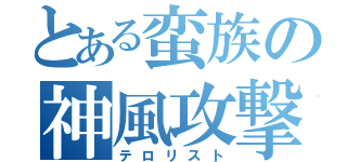 とある蛮族の神風攻撃（テロリスト）