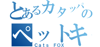 とあるカタッパのペットキットキャット（Ｃａｔｓ ＦＯＸ）