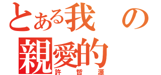 とある我の親愛的（許哲源）