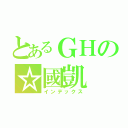 とあるＧＨの☆國凱（インデックス）