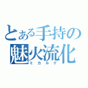 とある手持の魅火流化（ミカルゲ）