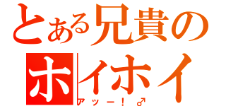 とある兄貴のホイホイ焼飯（アッー！♂）