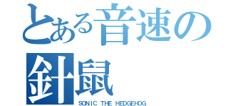 とある音速の針鼠（ＳＯＮＩＣ　ＴＨＥ　ＨＥＤＧＥＨＯＧ）