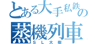 とある大手私鉄の蒸機列車（ＳＬ大樹）