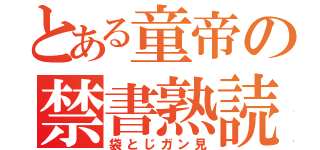 とある童帝の禁書熟読（袋とじガン見）