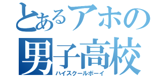 とあるアホの男子高校生（ハイスクールボーイ）