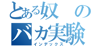 とある奴のバカ実験（インデックス）