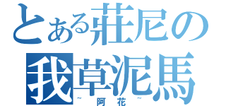 とある莊尼の我草泥馬（~阿花~）