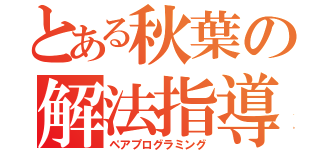 とある秋葉の解法指導（ペアプログラミング）