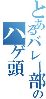 とあるバレー部顧問のハゲ頭（）