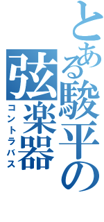 とある駿平の弦楽器（コントラバス）