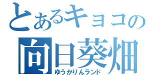 とあるキョコの向日葵畑（ゆうかりんランド）