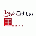 とあるこけしの王（加藤大地）