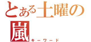 とある土曜の嵐（キーワード）