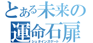 とある未来の運命石扉（シュタインズゲート）