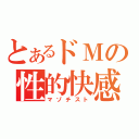 とあるドＭの性的快感（マゾチスト）