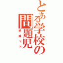 とある学校の問題児（結城リト）