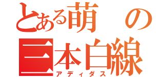 とある萌の三本白線（アディダス）