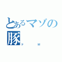 とあるマゾの豚（ドＭ）