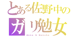 とある佐野中のガリ勉女（Ａｎｎａ ＆ Ｎａｎｏｈａ）