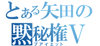 とある矢田の黙秘権Ｖ２（ブアイエット）