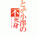 とある小澤の不死身（フェニックス）