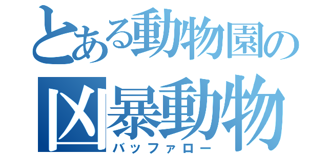 とある動物園の凶暴動物（バッファロー）