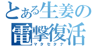 とある生姜の電撃復活（マタセタナ）