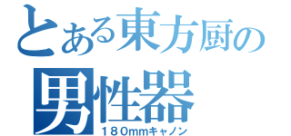 とある東方厨の男性器（１８０ｍｍキャノン）