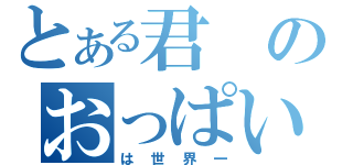 とある君のおっぱい（は世界一）