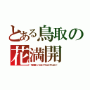 とある鳥取の花満開（花回廊にいなばにすなばにすたばも！）